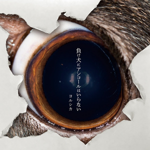 琳妮特穿越规则怪谈小说
