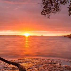 琳妮特穿越规则怪谈小说
