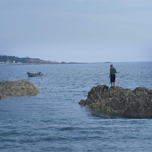 琳妮特穿越规则怪谈小说
